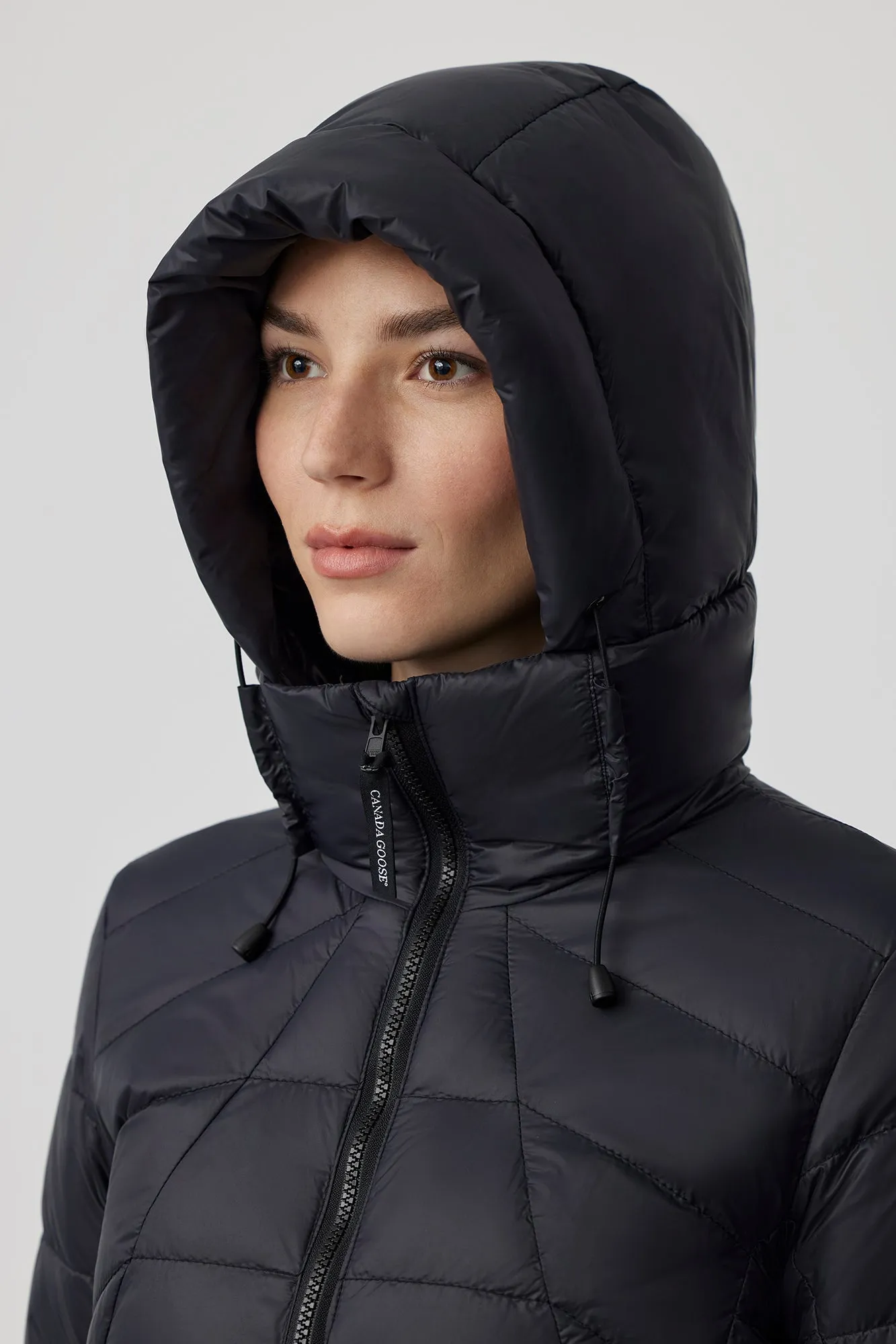 Abbott Hoody