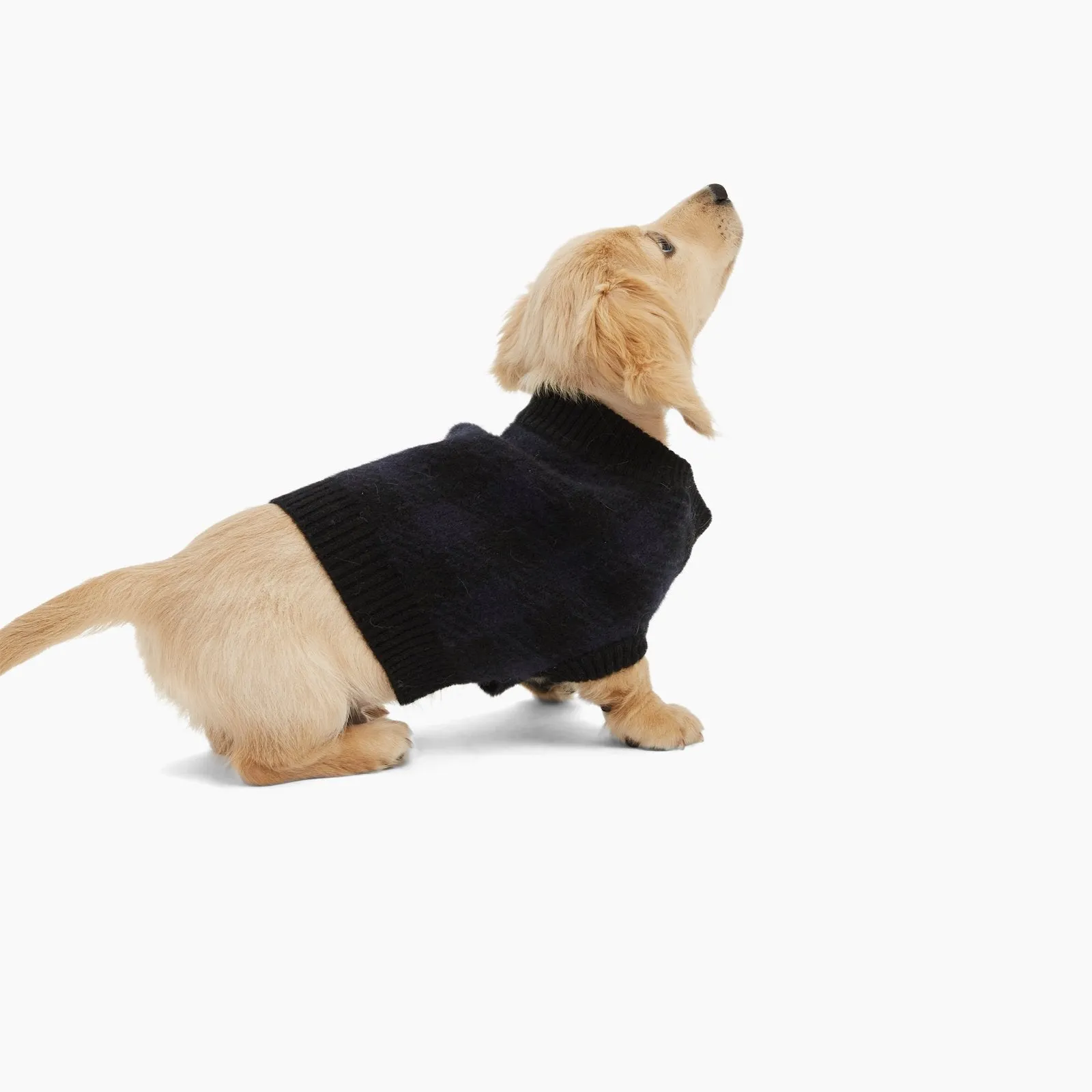 Plaid Cashmere Dog Sweater for Optimal Style