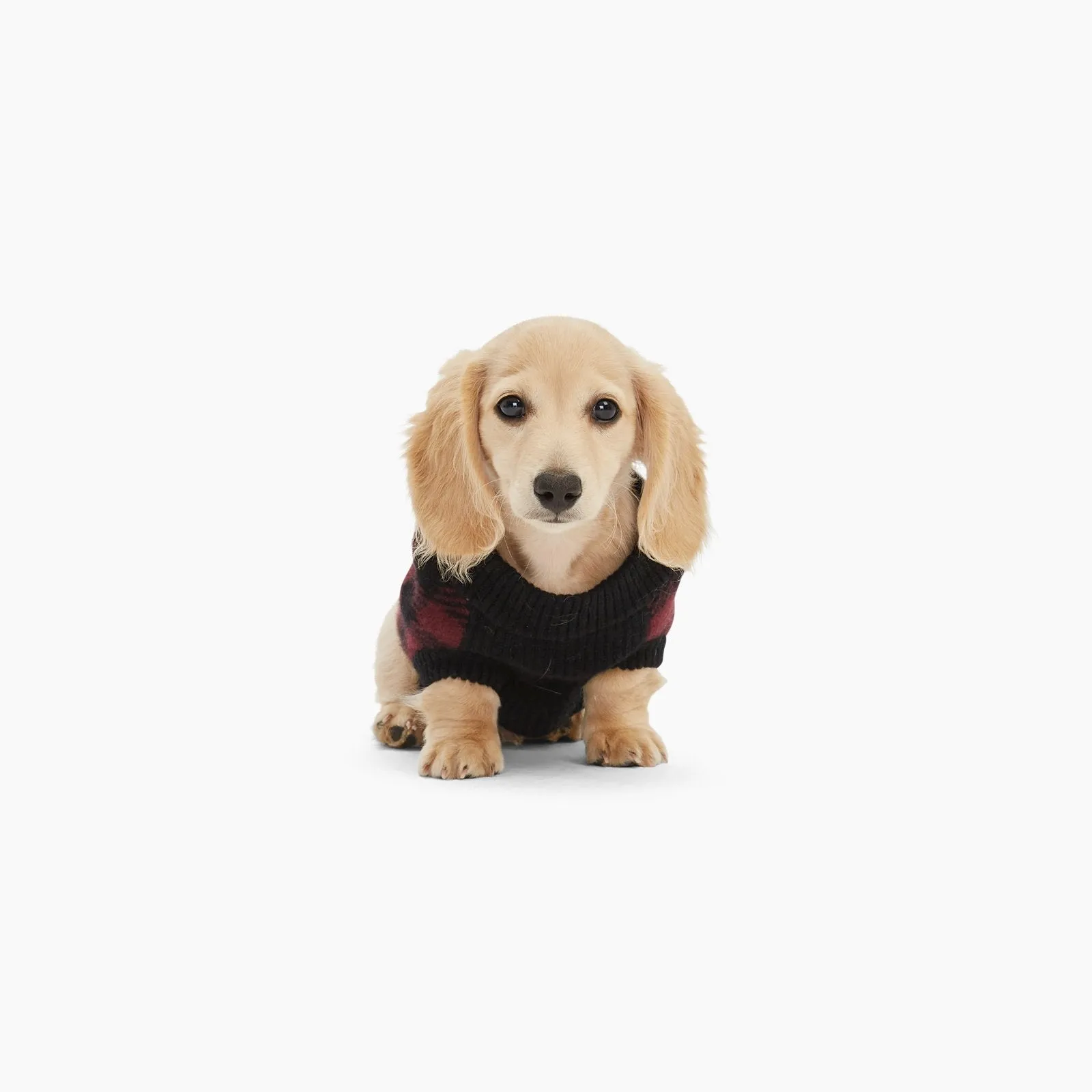 Plaid Cashmere Dog Sweater for Optimal Style